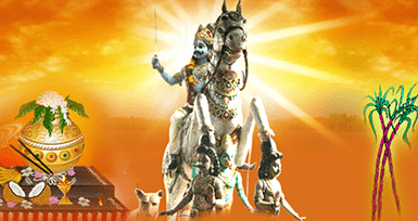 Thai Pongal – Harvest Festival of Tamil Nadu