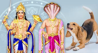 What is the link between Dogs and Rahu/Ketu in Astrology?