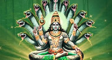 Vasuki Kala Sarpa Dosha: Impact and Remedies