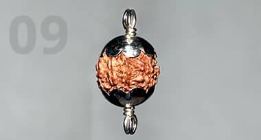 9 Mukhi Rudraksha: Benefits, Power, and Significance