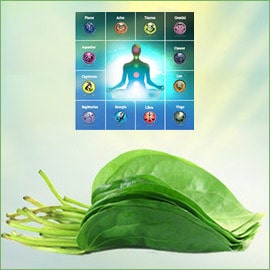 Betel Leaf Astrology