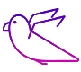 Francolin