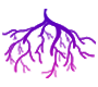 Moola Symbol
