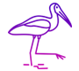 Stork