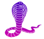 Ashlesha Symbol