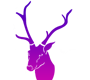 Mirgashira Symbol