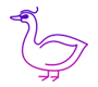 Swan