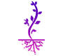 Swati Symbol
