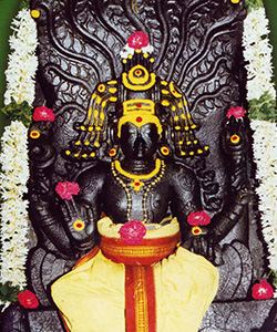 Guru