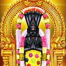Ketu Pooja