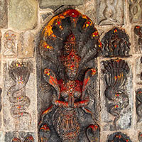 Grand Uragaraja Maha Mantra Homa