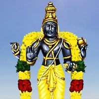 Guru Homa (Jupiter Blessings Fire Lab)