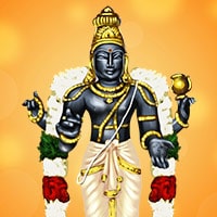 Shukra Homa (Venus Blessings Fire Lab)