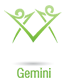 gemini
