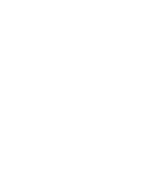 सिंह 