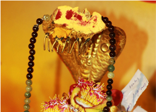 Rahu Ketu Predictions