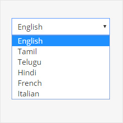 Select a language