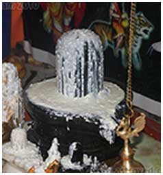 Curd Abishekam Shiva Lingam