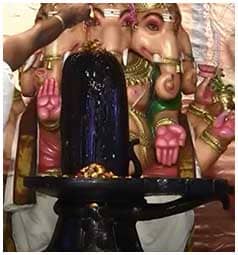 Honey Abishekam Shiva Lingam