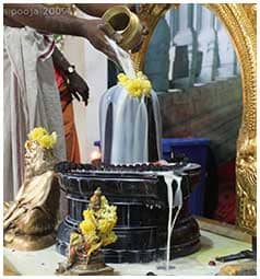 Milk Abishekam Shiva Lingam