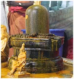 Turmeric Abishekam Shiva Lingam