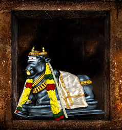 AstroVed Nandi Temple