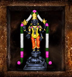 Astroved Temple Maha Vishnu