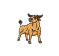 taurus